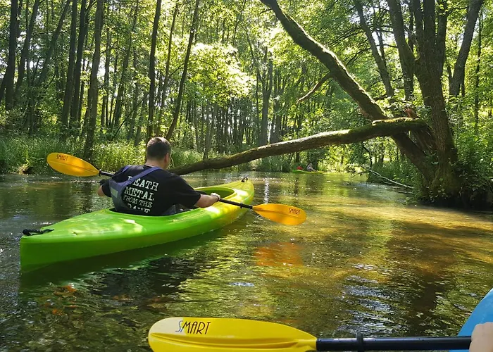 Dom wakacyjny żurawi